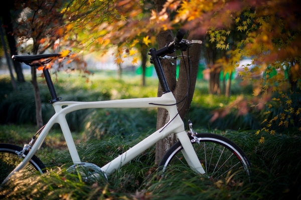 2015年 ，自行車2.0時代