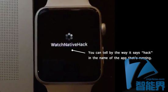 Apple Watch SDK被黑？