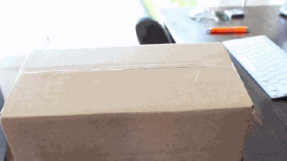1487054117267227.gif