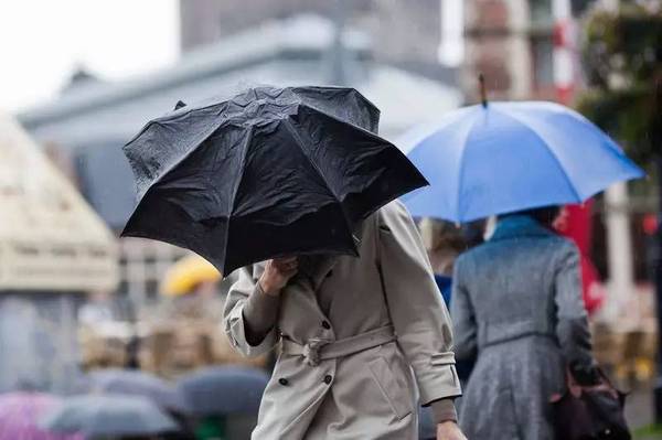 共享雨傘頻獲融資，是真機會還是偽需求？