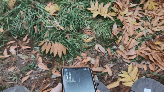 VID_20211210_17142920211216162289.gif