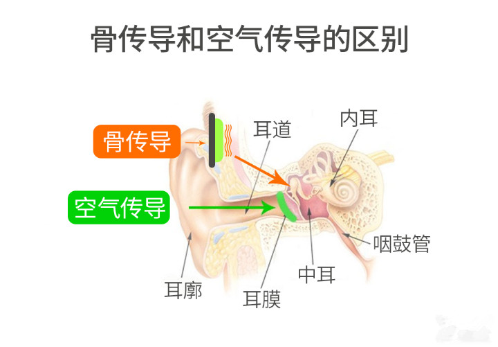 骨傳導和空氣傳導區(qū)別.jpg