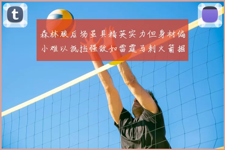 森林狼后场虽具精英实力但身材偏小难以抵挡强敌如雷霆马刺火箭掘金