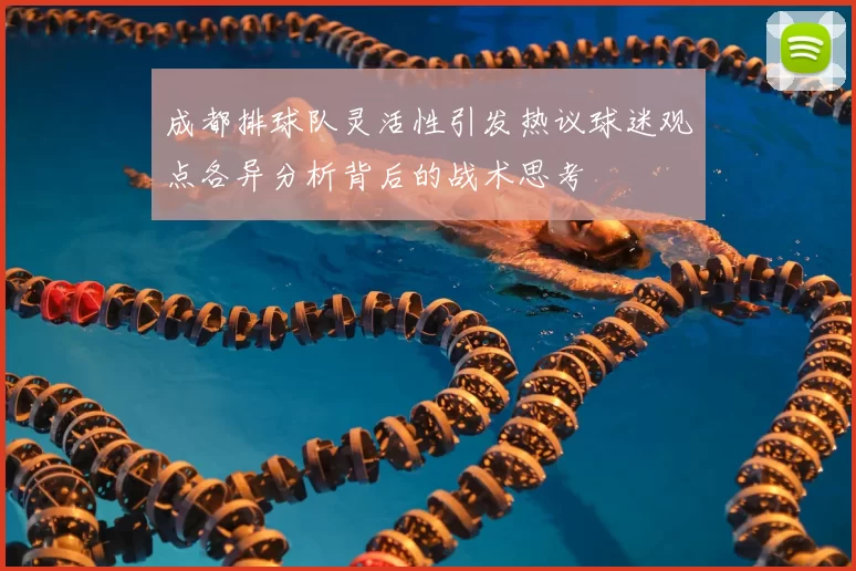 成都排球队灵活性引发热议球迷观点各异分析背后的战术思考