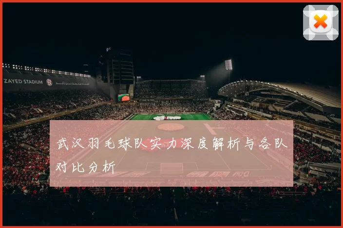 武汉羽毛球队实力深度解析与各队对比分析