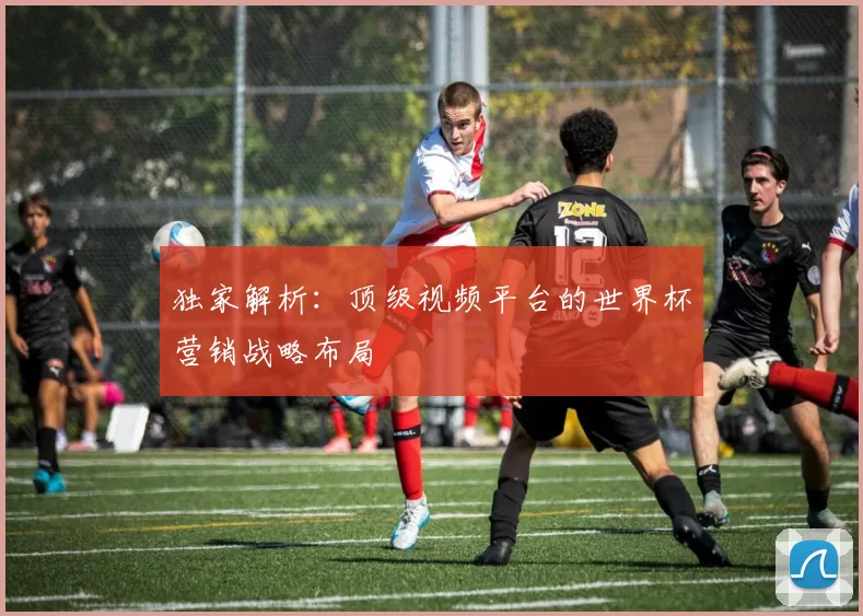 独家解析:顶级视频平台的世界杯营销战略布局