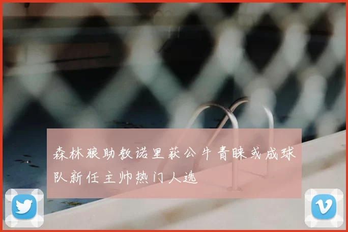 森林狼助教诺里获公牛青睐或成球队新任主帅热门人选