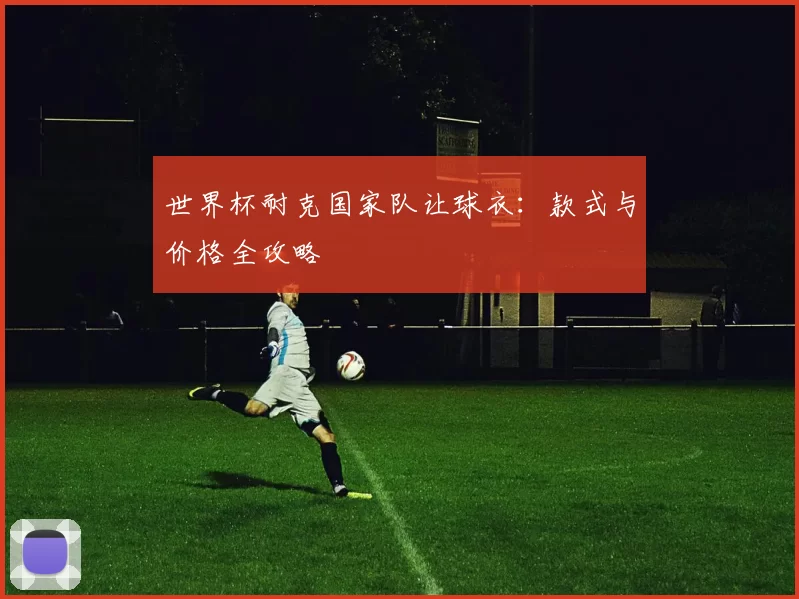 世界杯耐克国家队让球衣:款式与价格全攻略