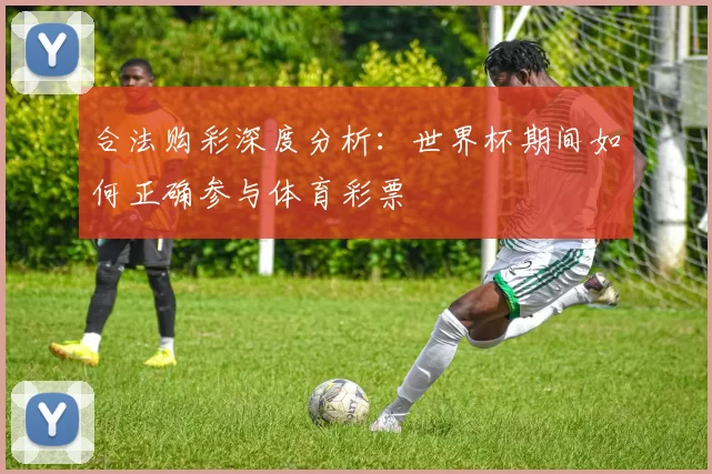 合法购彩深度分析:世界杯期间如何正确参与体育彩票