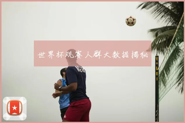 世界杯观赛人群大数据揭秘