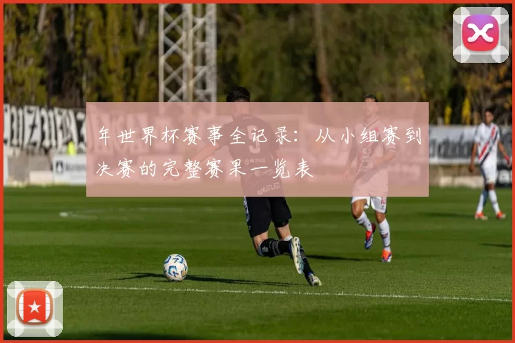 年世界杯赛事全记录:从小组赛到决赛的完整赛果一览表