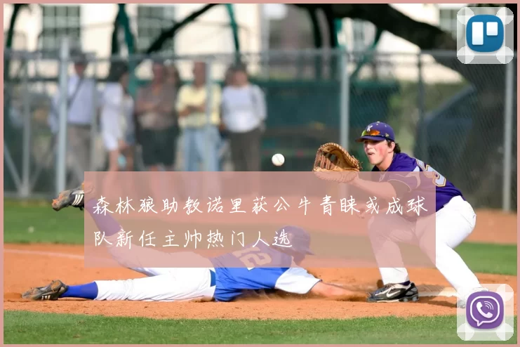 森林狼助教诺里获公牛青睐或成球队新任主帅热门人选