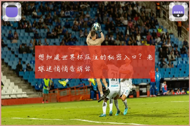 想知道世界杯压注的秘密入口?老球迷悄悄告诉你
