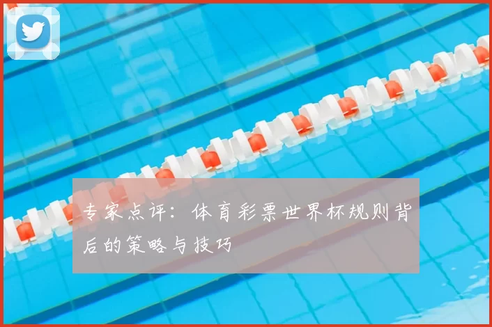 专家点评:体育彩票世界杯规则背后的策略与技巧