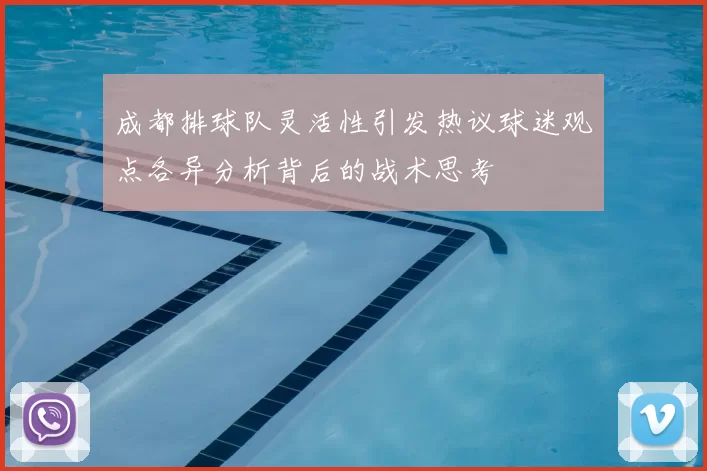 成都排球队灵活性引发热议球迷观点各异分析背后的战术思考