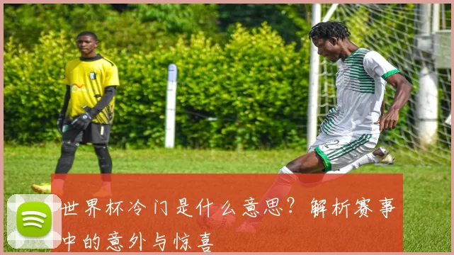 世界杯冷门是什么意思?解析赛事中的意外与惊喜