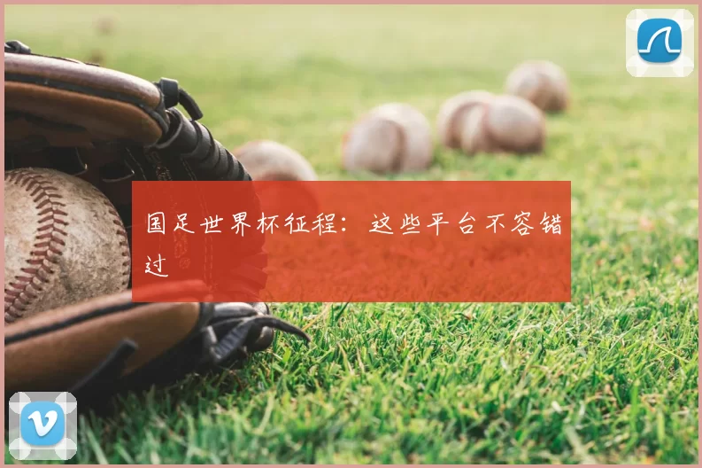 国足世界杯征程：这些平台不容错过